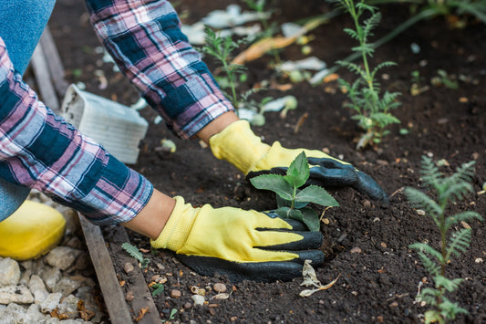 Why Gardening Gloves are a Must-Have for Every Gardener