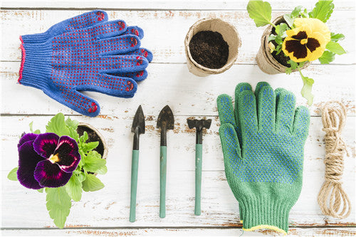 The Benefits of Wearing Gloves for Planting