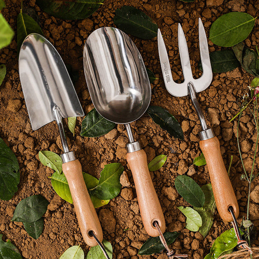 Essential Gardening Tool Set: Stainless Steel Mini Spade & 3-Piece Kit for Planting, Weeding, and Flower Care